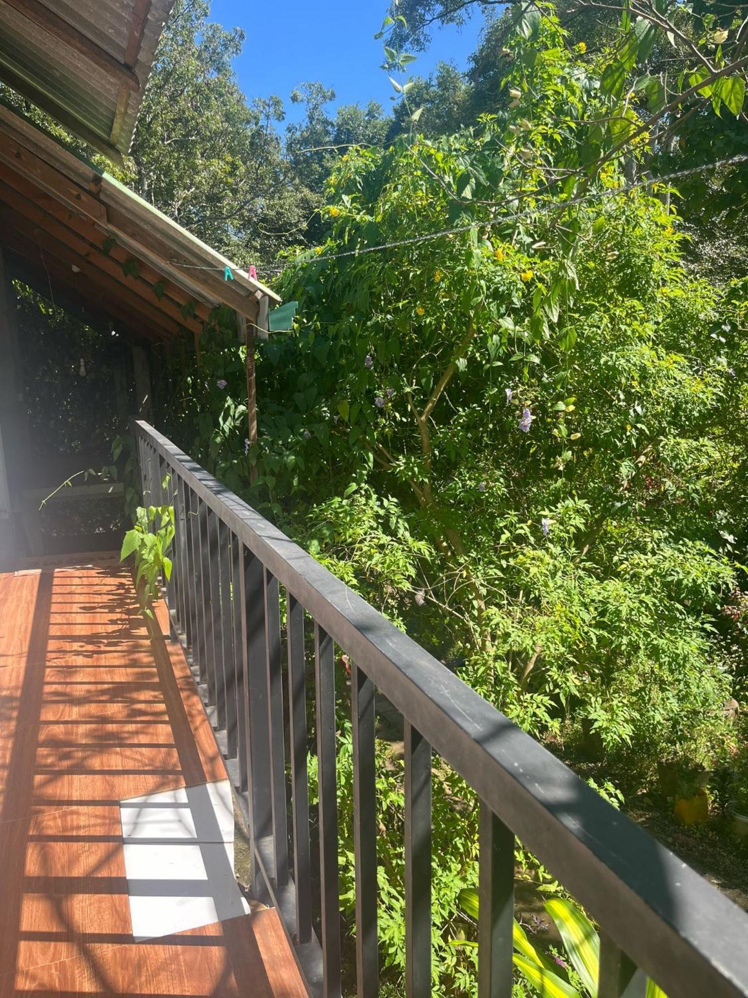 Habarana Dulwan Guest House Pokoj fotografie