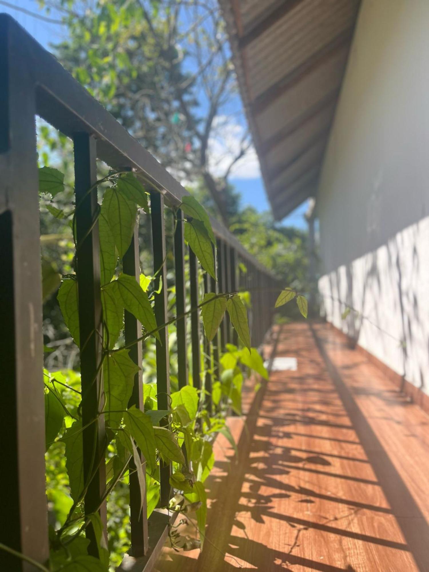 Habarana Dulwan Guest House Pokoj fotografie